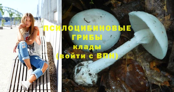 ECSTASY Вязники