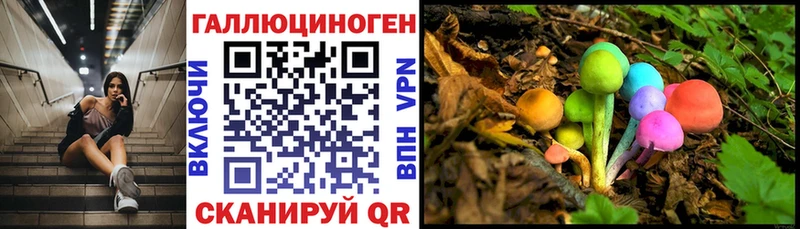 Псилоцибиновые грибы ЛСД  Новая Усмань 